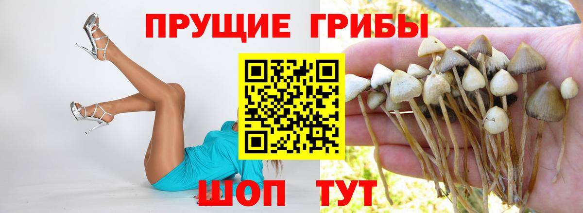 Псилоцибиновые грибы ЛСД  Вход с VPN  Муравленко  где купить   Галлюциногенные грибы мицелий 
